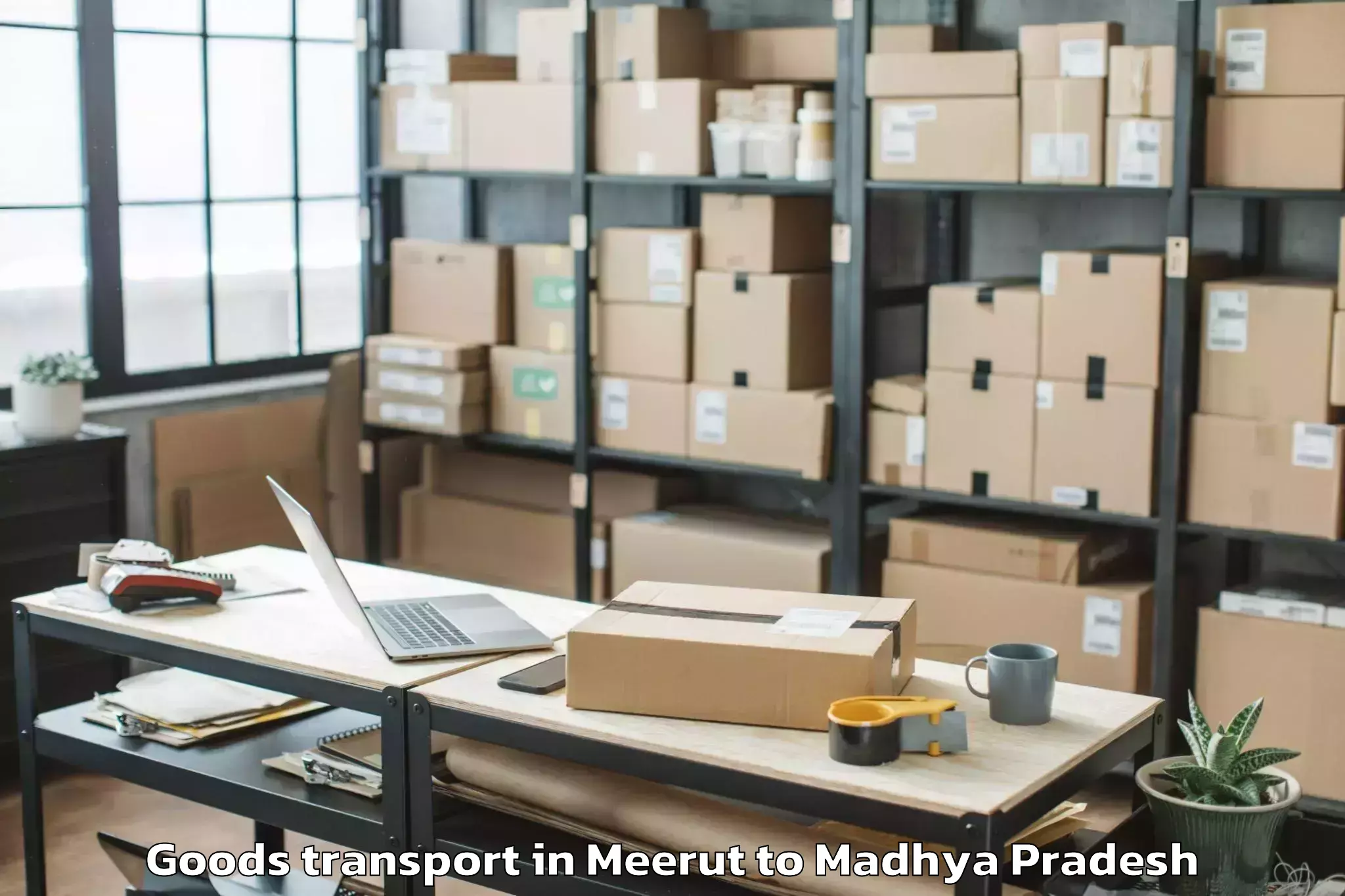 Top Meerut to Dhamnod Goods Transport Available